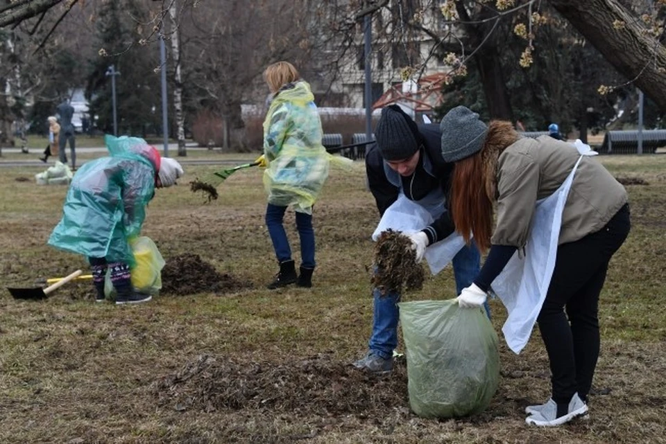 Все на субботник 24 апреля.