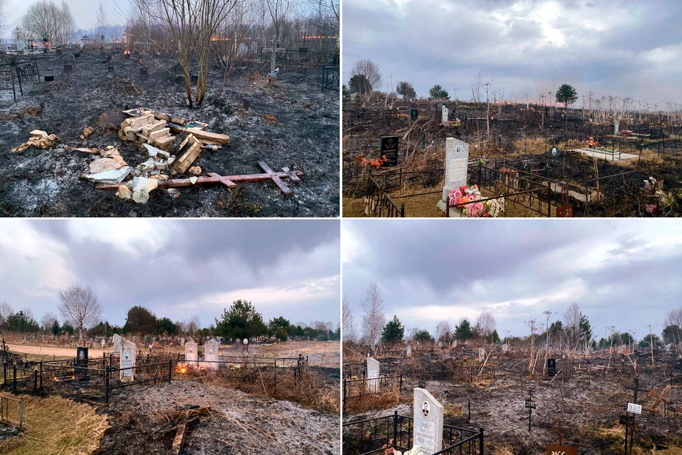 Пожар выжег территорию всего кладбища. Фото: паблик в VK «Благоустройство г. Ржев»