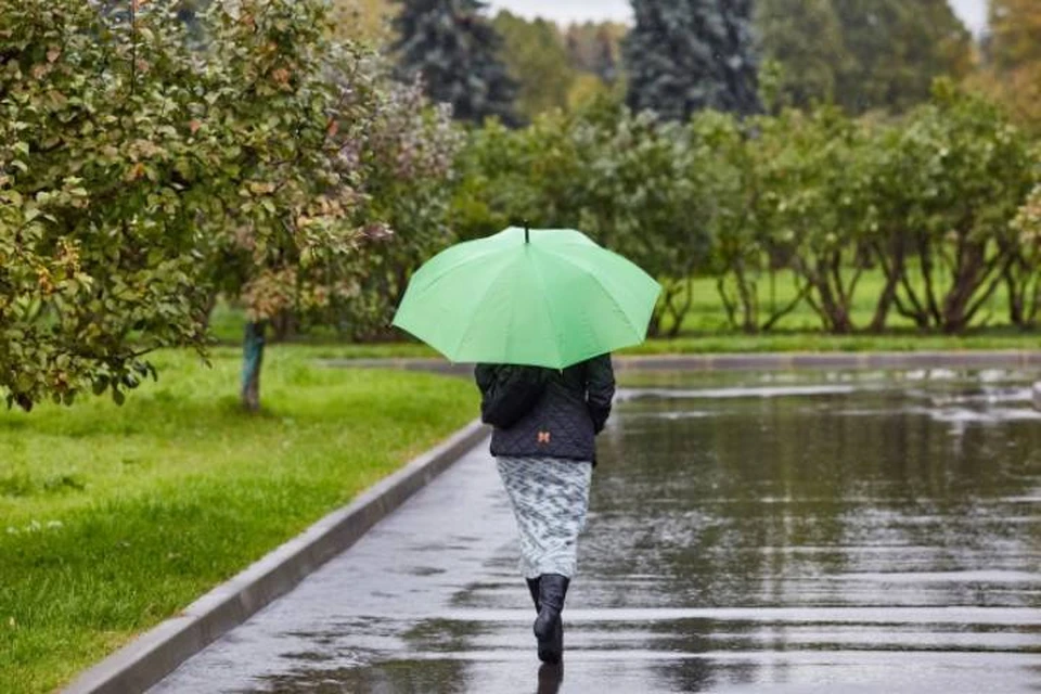 Предстоящий май в Кировской области ожидается холодным и дождливым.