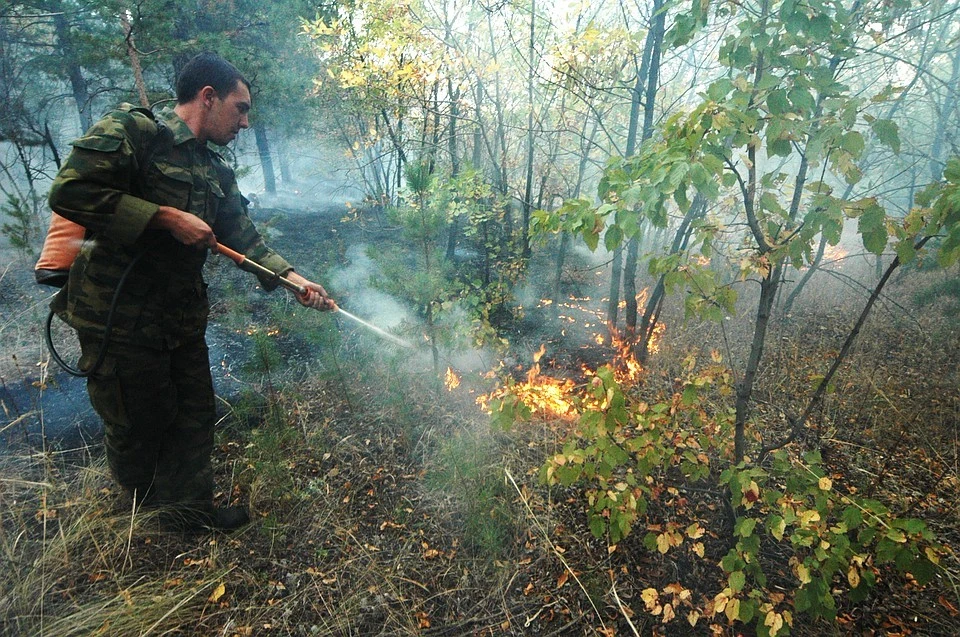 В Тверской области огнем уничтожено 712 га земель
