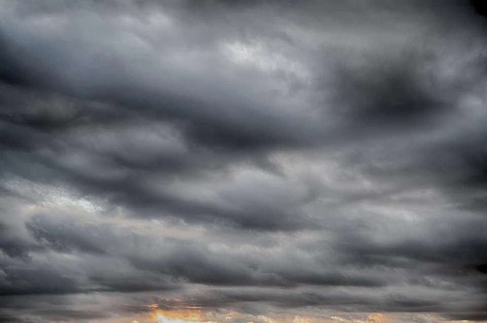 Фото: pexels.com