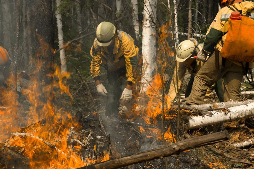 Лесные пожары в Иркутской области 2021: когда и где будет гореть тайга. Фото: пресс-служба Авиалесоохраны.