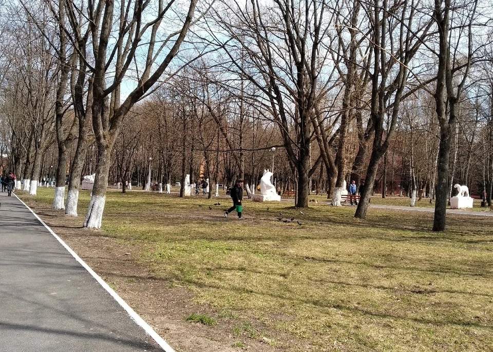 Первый общегородской субботник прошел в Курске 10 апреля