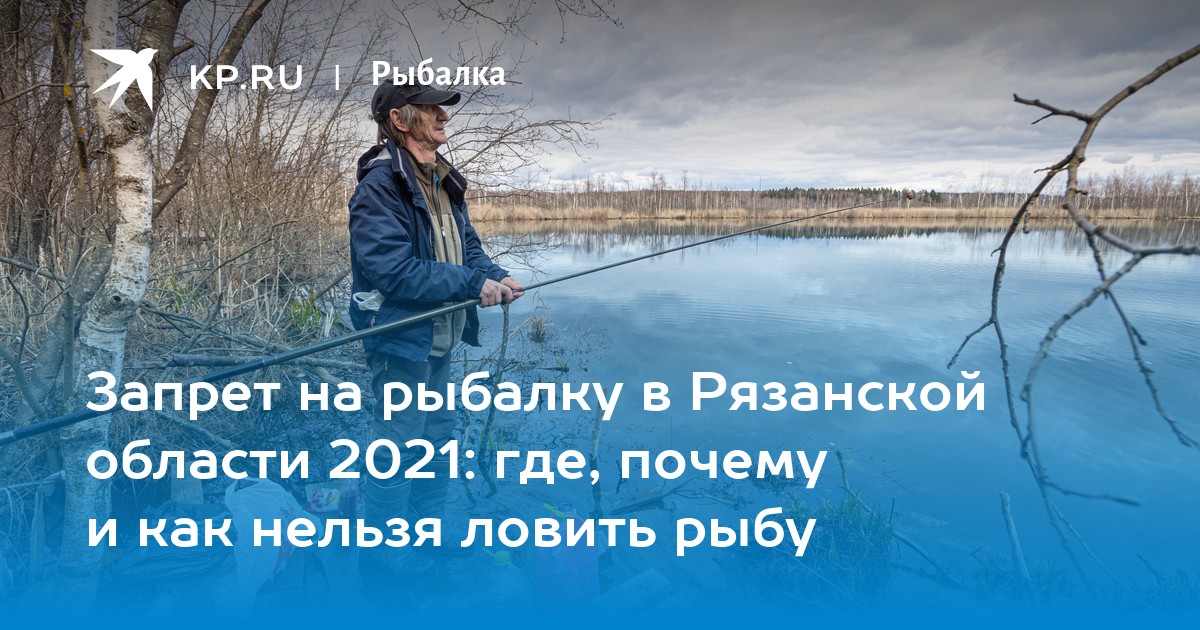 Рыбалка на реке Цна в Рязанской области: особенности, ловля, снасти