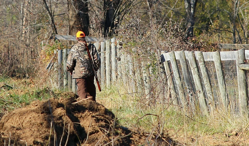 При охотниках были обнаружены туши сайгаков, рога и незарегистрированное ружье