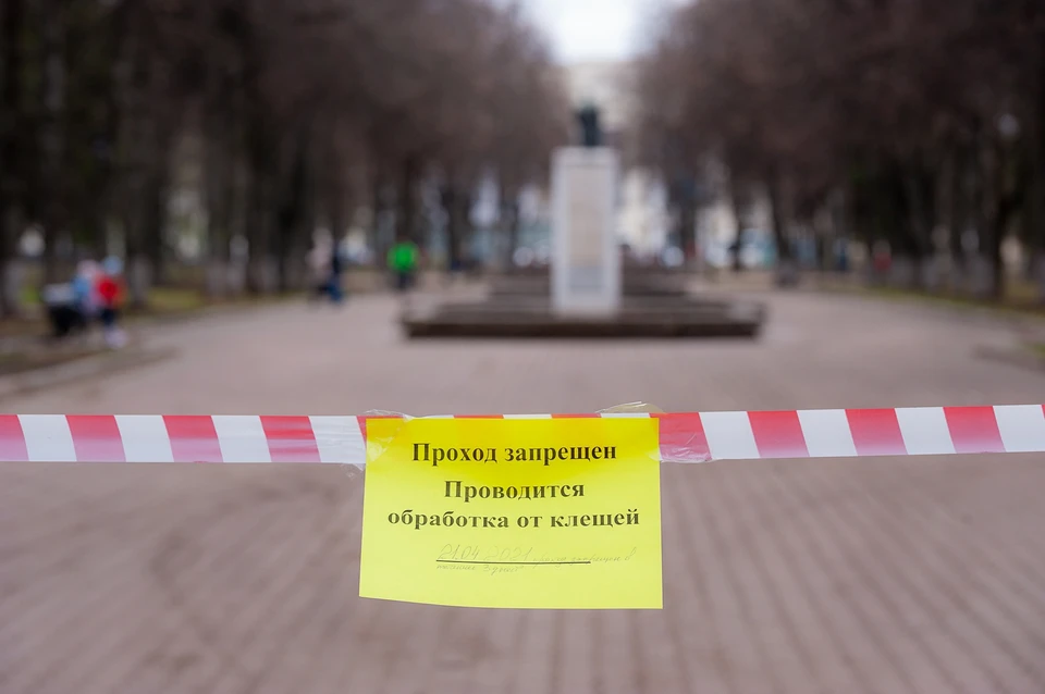 В Орле временно закрыли для посещения Детский и Городской парки