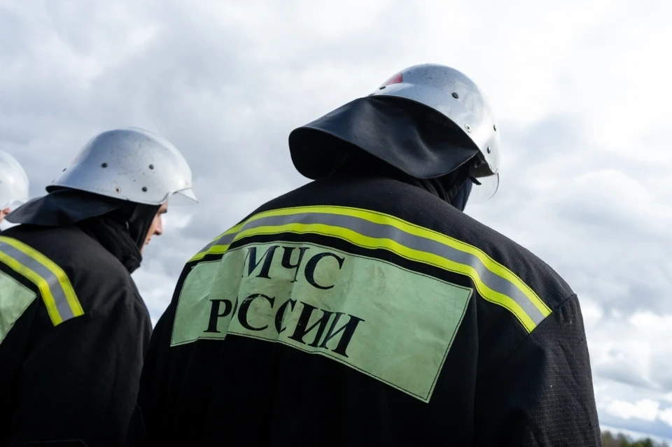 Орловские пожарные потушили теплицу, гараж и «ВАЗ»