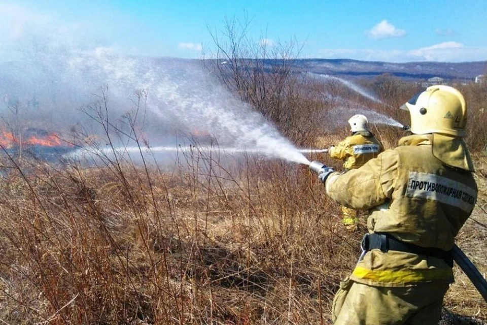 В Хабаровском крае за день произошло семь лесных пожаров