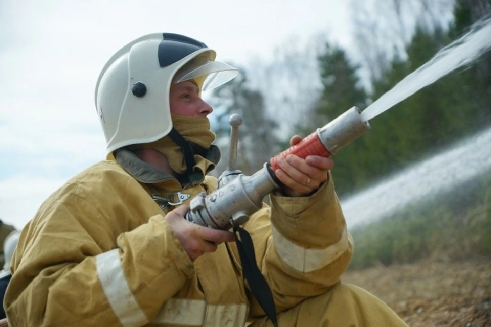Ситуация с пожароопасностью в Новосибирской области находится на особом контроле.