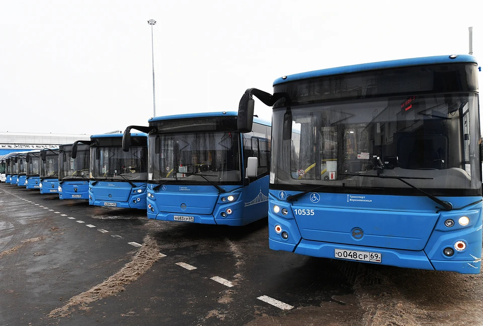 В четырех районах на линии выйдут 118 автобусов Фото: ПТО