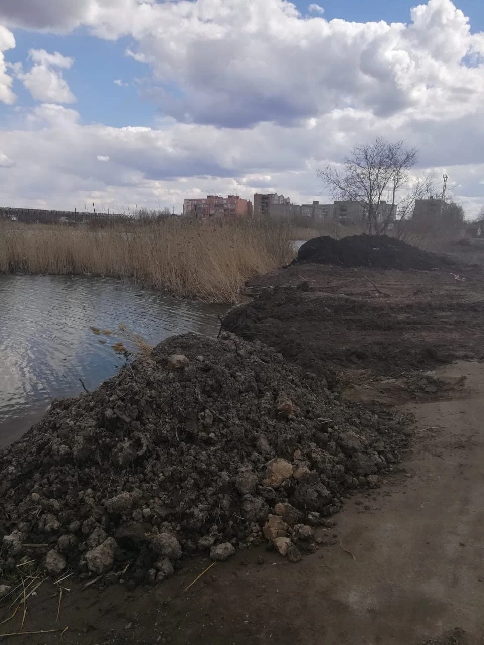 Омичам пообещали, что отсыпка почти не сократит площадь водоема.