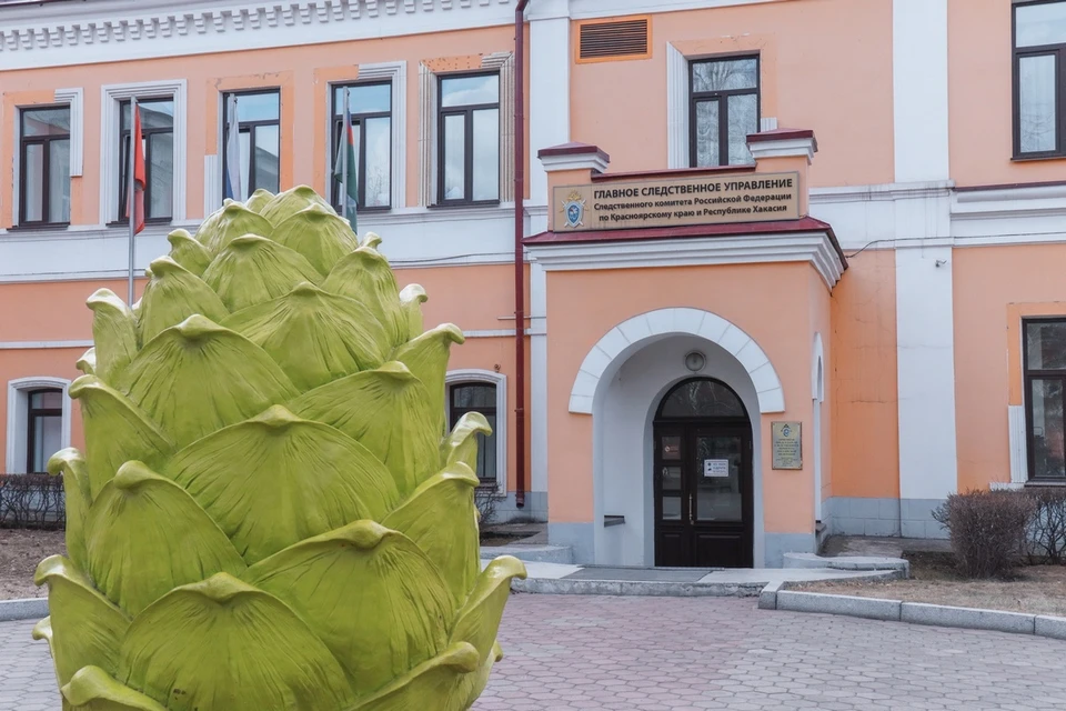 В Красноярске неизвестный пытался похитить девочку