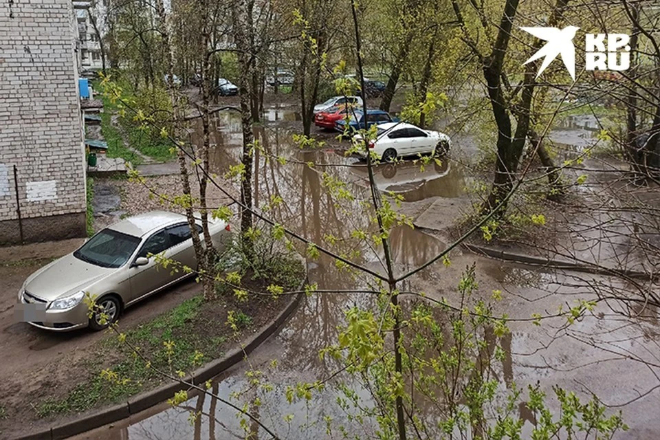 В Тверской области 4 мая ожидают дождь и ветер до 15 м/с.