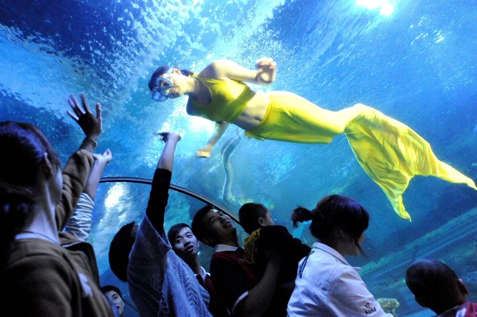 Дада Ли начала выступать с подобными номерами в аквариумах в 2015 году.