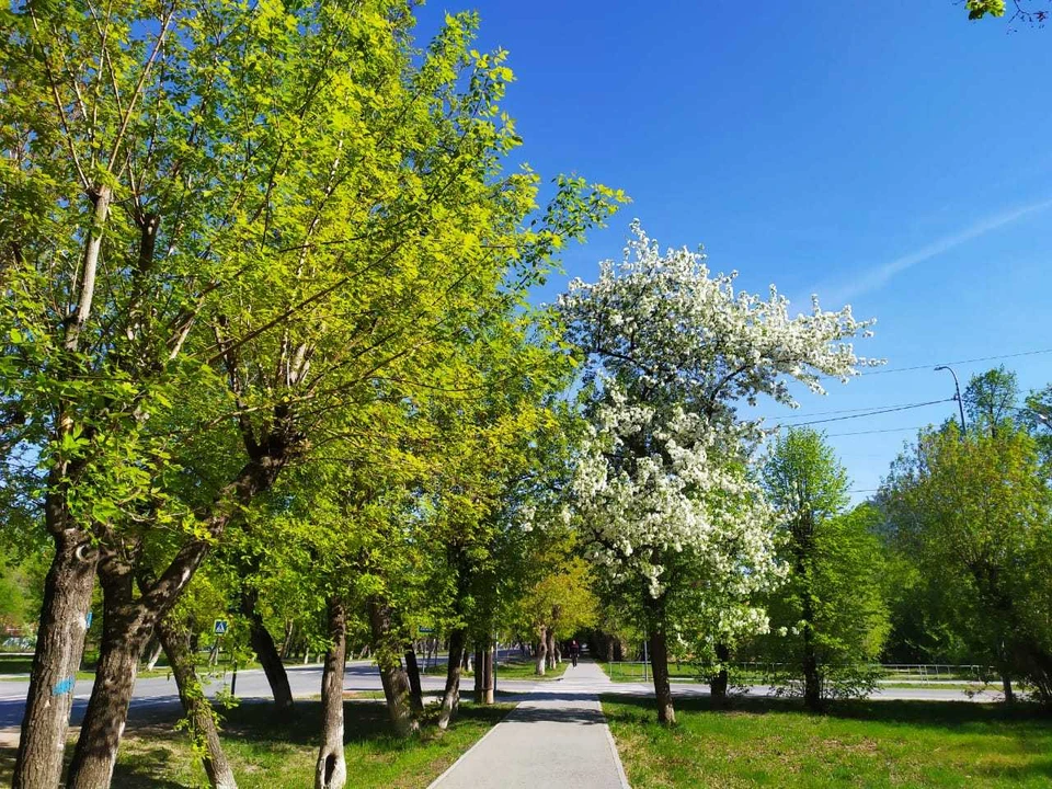 В Тюмени воздух прогреется до плюс 30.