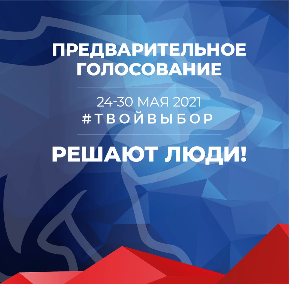 Жители Тульской области смогут внести вклад в формирование региональной программы развития на площадках предварительного голосования «Единой России».