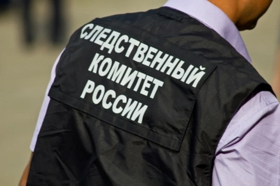 СК проводит проверку