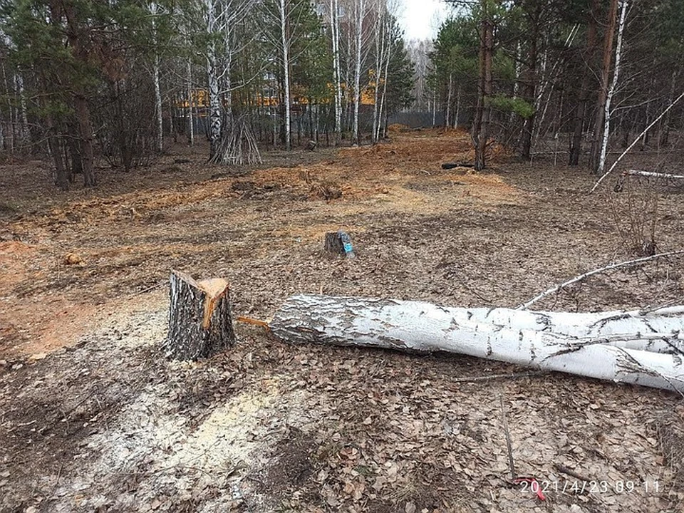 Фото: Александр Русяев