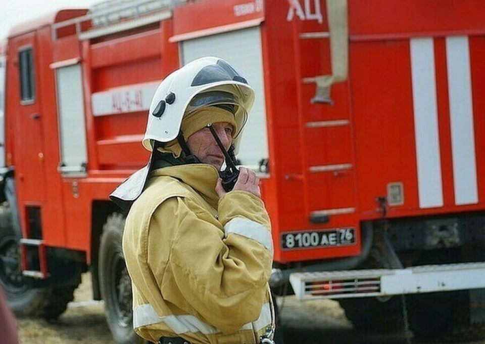 Фото: архив "КП"