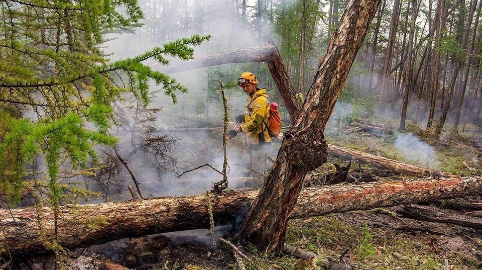 В Тюменской области потушили самый крупный лесной пожар.