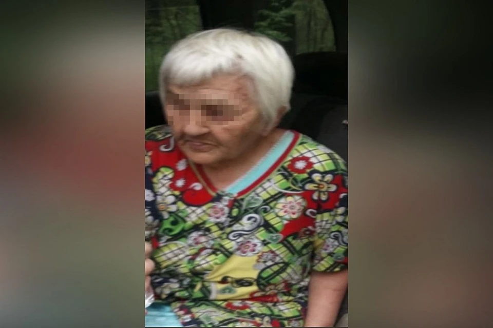 Поиски 80-летней женщины, не вернувшейся с прогулки в Бердске, завершены. Фото: "ЛизаАлерт Новосибирск".