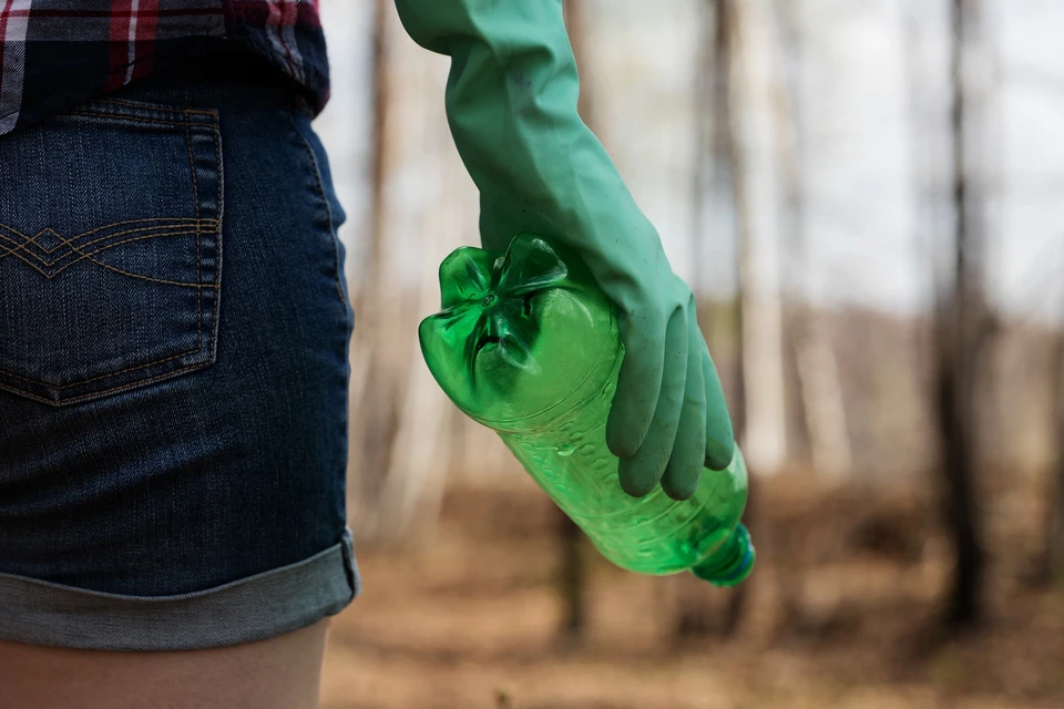 В Югре проходит «Экологическая Неделя добра» Фото: pixabay.com