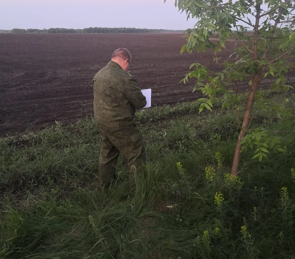 В поле около Романовки нашли человеческие кости