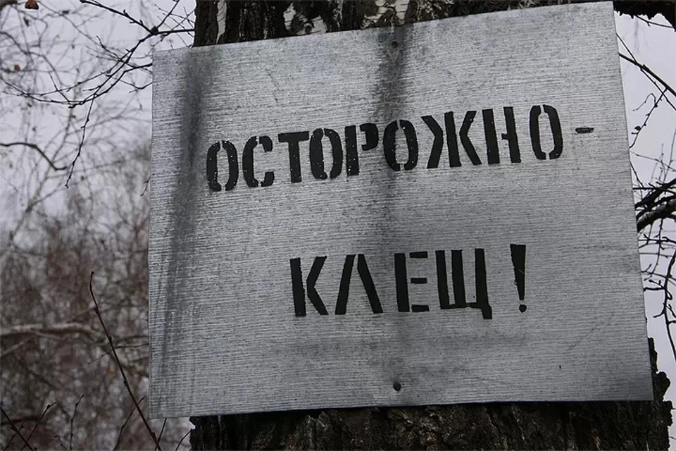 На сегодняшний день Крымская геморрагическая лихорадка диагностирована у шести местных жителей