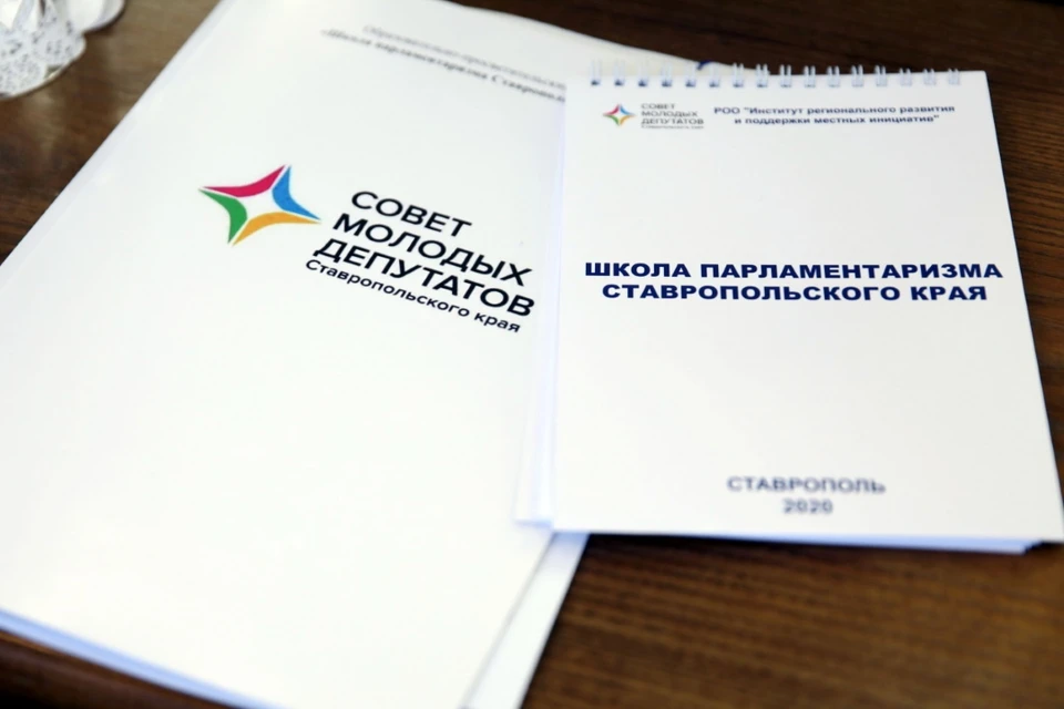 Совет молодых депутатов был создан в 2014 году при Думе Ставропольского края