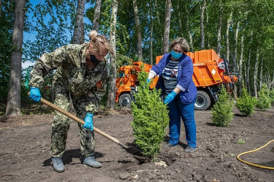 В регионе уже высажено 567,8 тысячи деревьев. Фото: пресс-служба АПК.