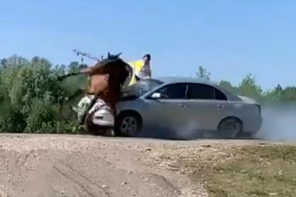 Благо, никто не погиб, но все сильно пострадали.