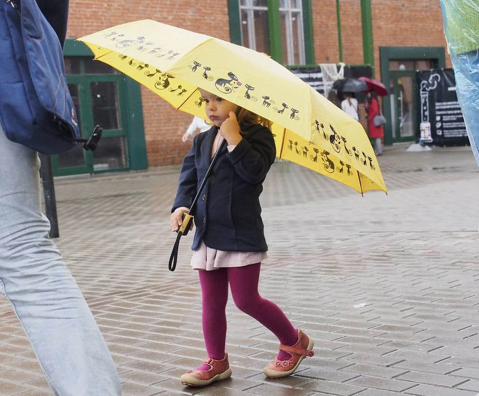 В День защиты детей туляков зовут под купол чудо-зонтика