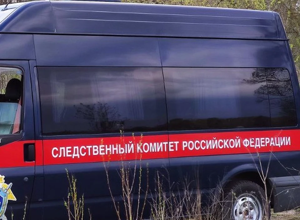 Следственный комитет в кратчайшие сроки собрал достаточно доказательств