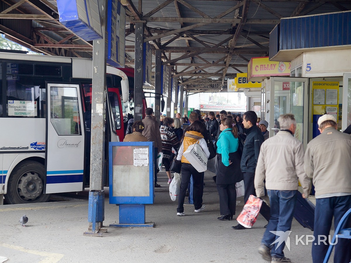 Расписание автобусов из Екатеринбурга: автовокзалы, как купить билет - KP.RU