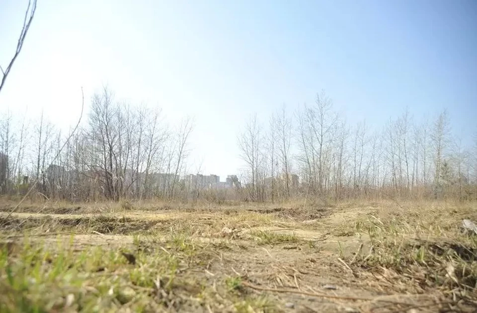 Так участок выглядел ранней весной.