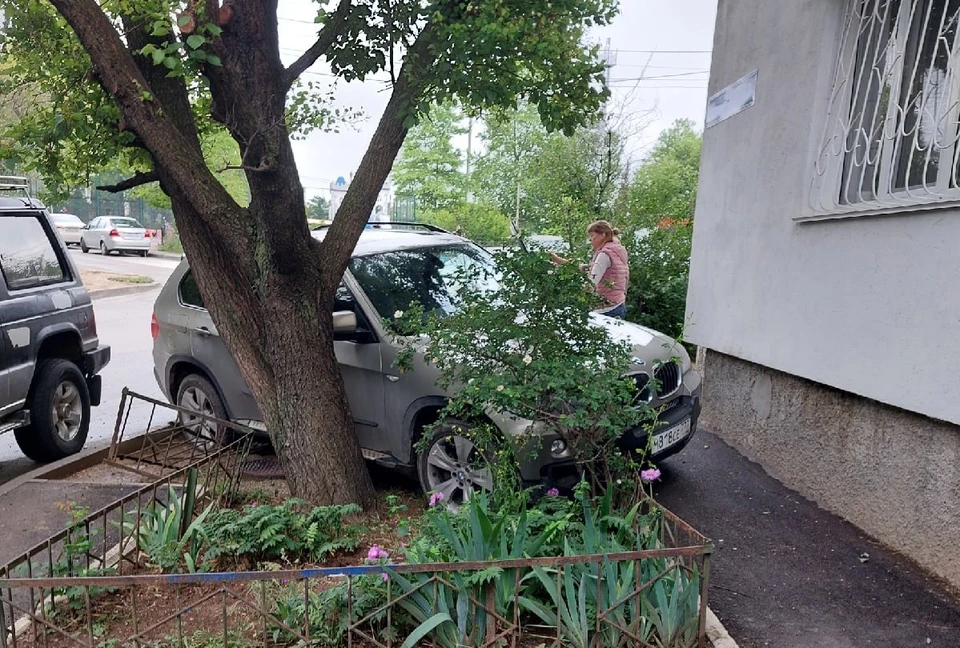 Фото: соцсети