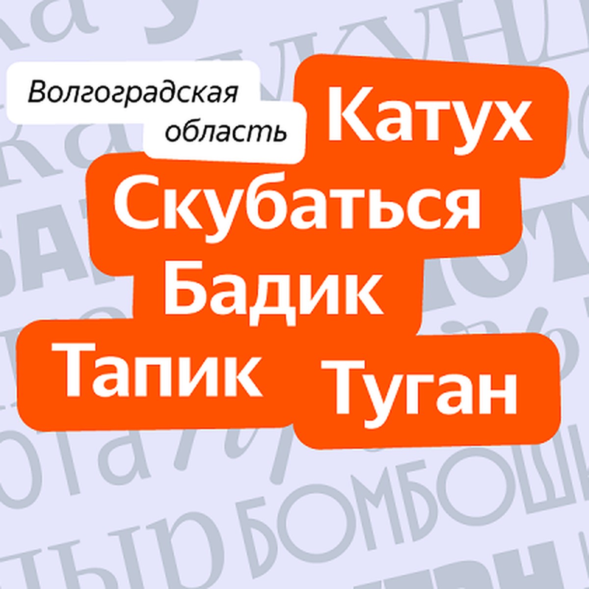 Тапик, катух, бадик, туган, скубаться: Яндекс назвал популярные у  волгоградцев слова - KP.RU