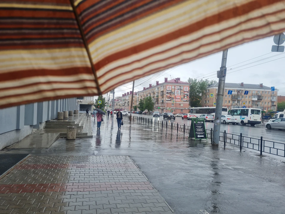 Начало недели в Омске будет дождливым и тёплым.