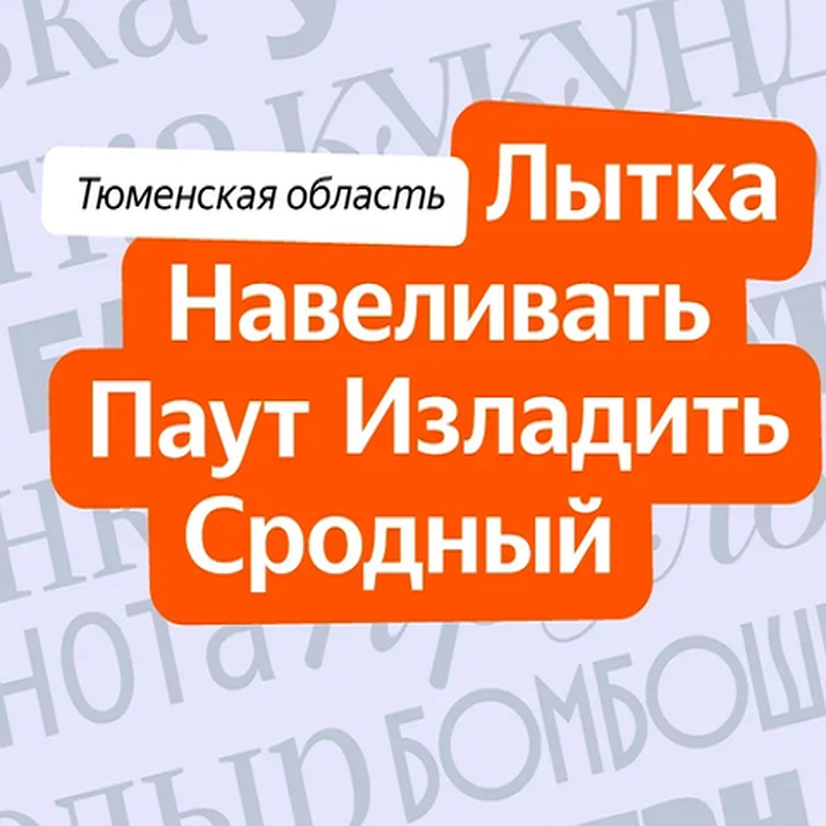 Намахнем за мусорницу? 18 слов из Тюменской области, которые введут в  ступор жителей других регионов - KP.RU