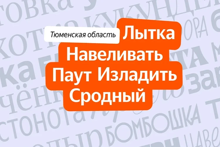 Намахнем за мусорницу? 18 слов из Тюменской области, которые введут в ступор жителей других регионов