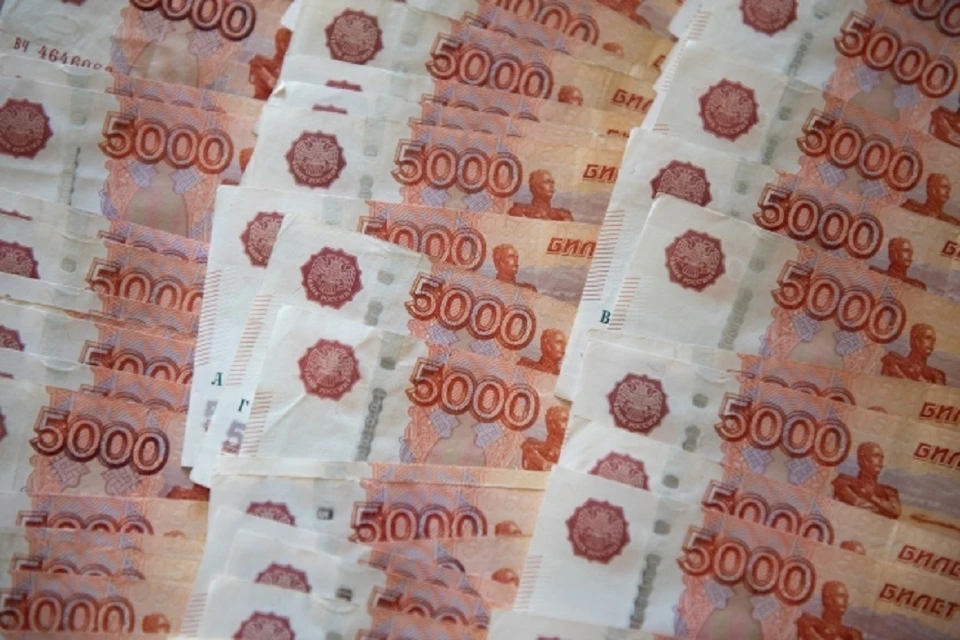 В Новосибирской области почти в 2 раза увеличился объем «президентских» выплат на детей.