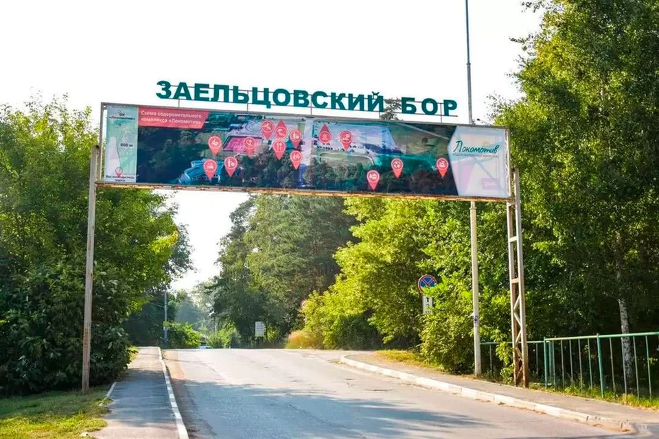 Ситуация вокруг Заельцовского бора создает серьезное социальное напряжение.