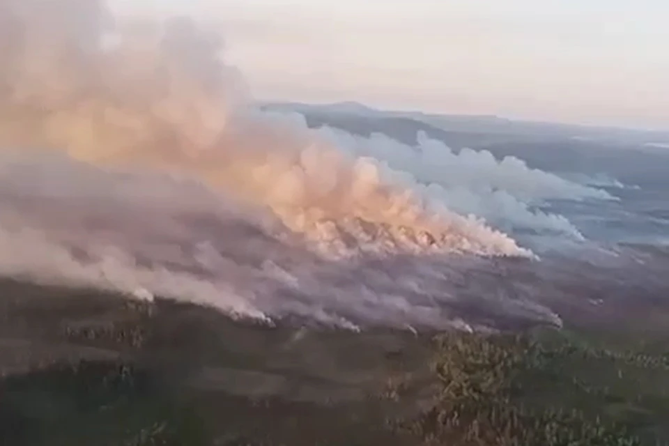 Природоохранная прокуратура начала проверку. Фото: Скриншот видео