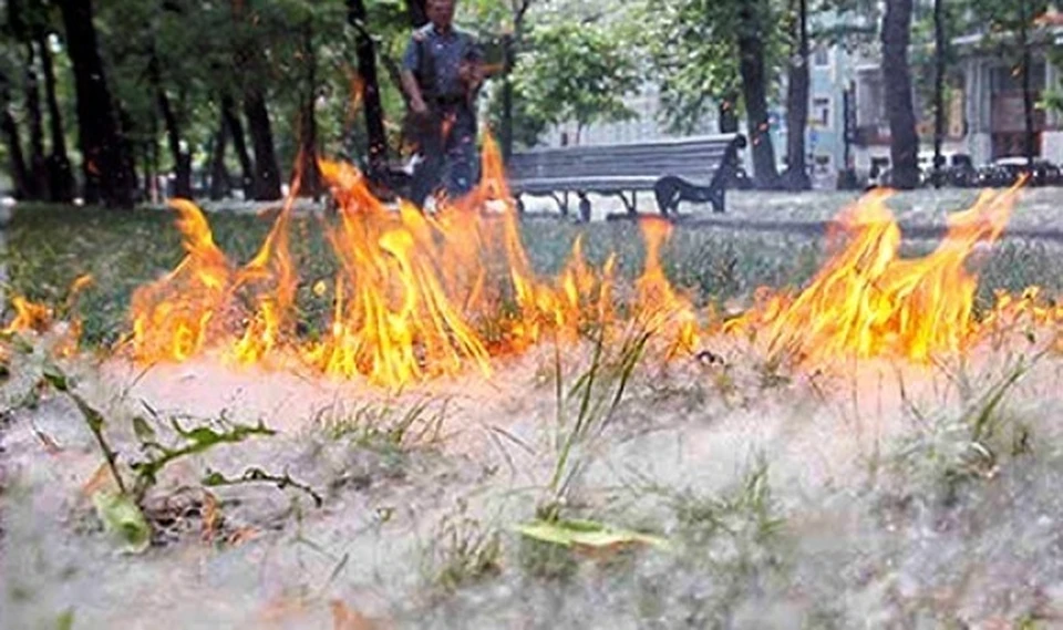 Белый "порох" - причина многочисленных пожаров. Фото: ГУ МЧС России