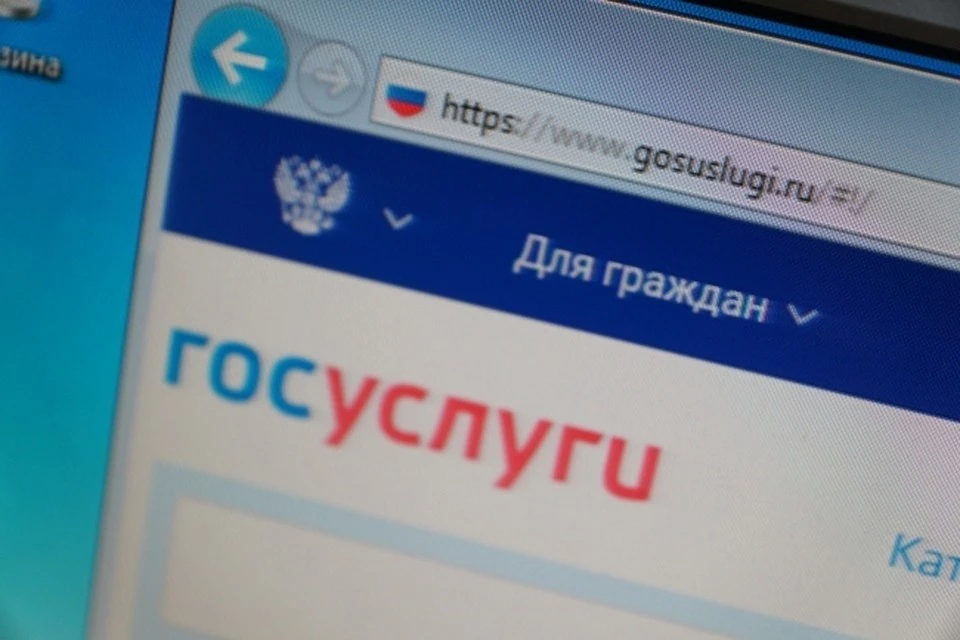 Россияне смогут получать социальные выплаты через портал «Госуслуги»