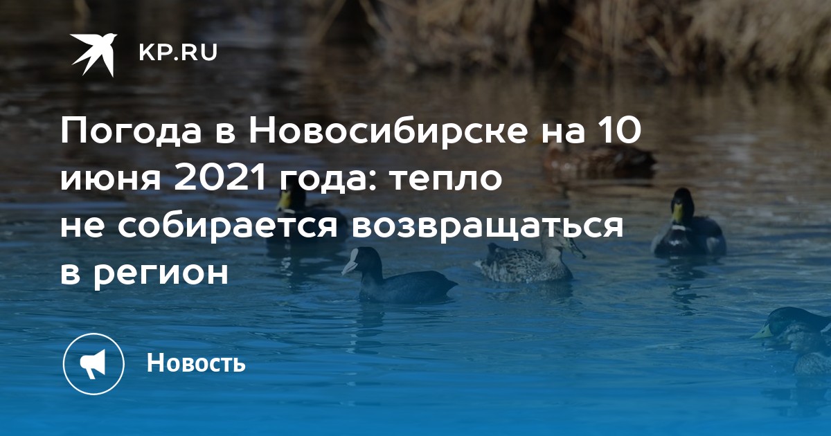 Погода в Новосибирске на 10 июня 2024