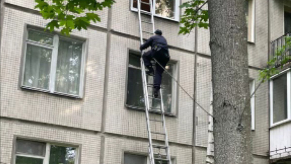 Полицейский в Петербурге влез в окно 3 этажа по пожарной лестнице, чтобы  успокоить плачущего ребенка - KP.RU