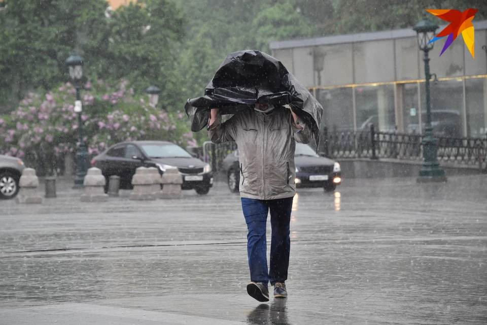 закрыт ли дождь. закрыт ли дождь. гаи дождь. дождь в субботу в казани. прохладно и дождливо.