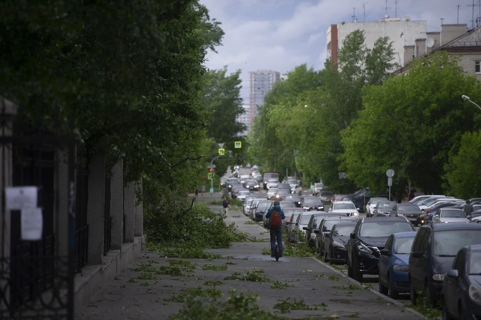 Из-за сильного ветра находиться рядом с деревьями опасно