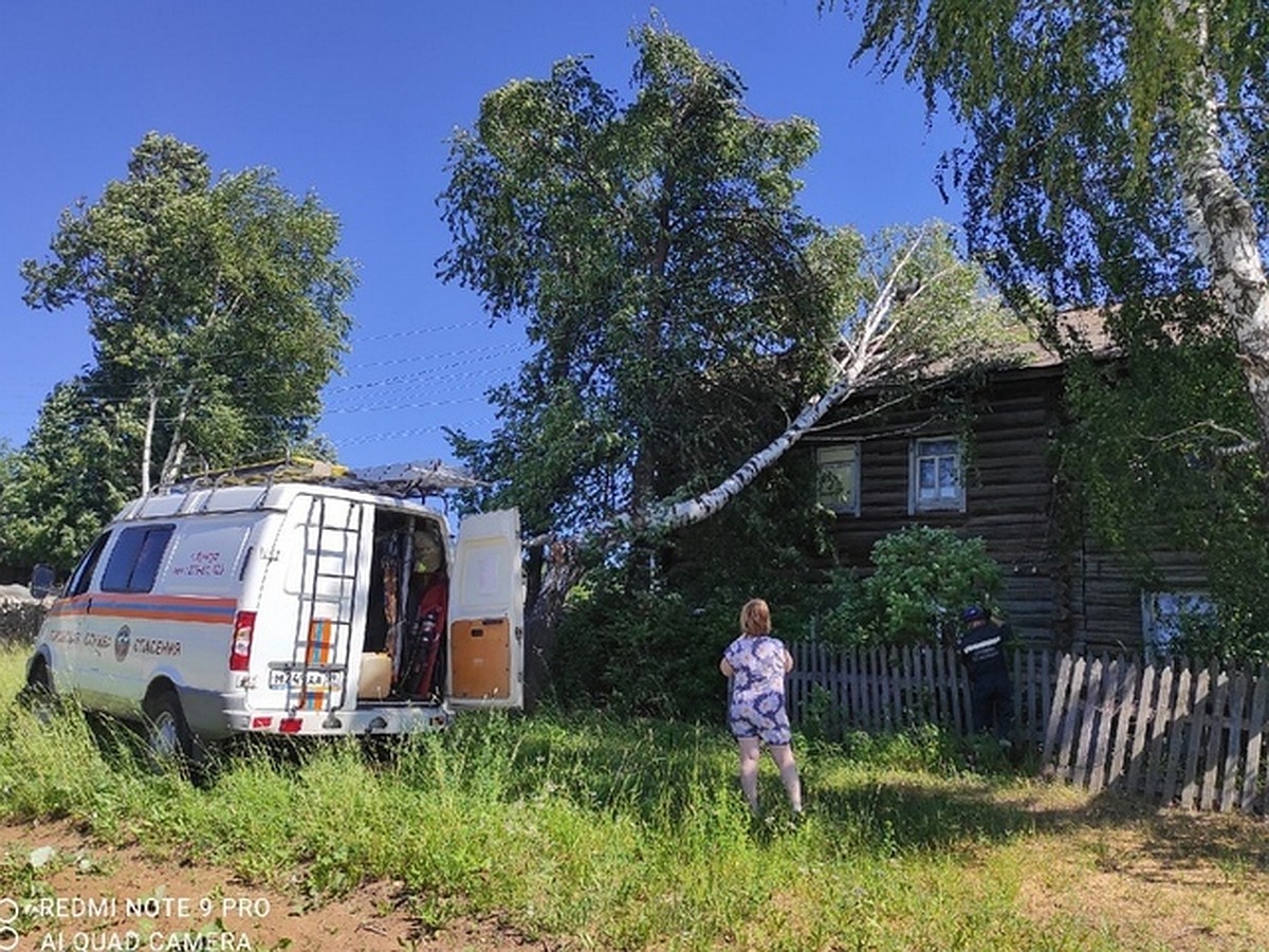 В Прикамье дерево упало на многоквартирный дом - KP.RU